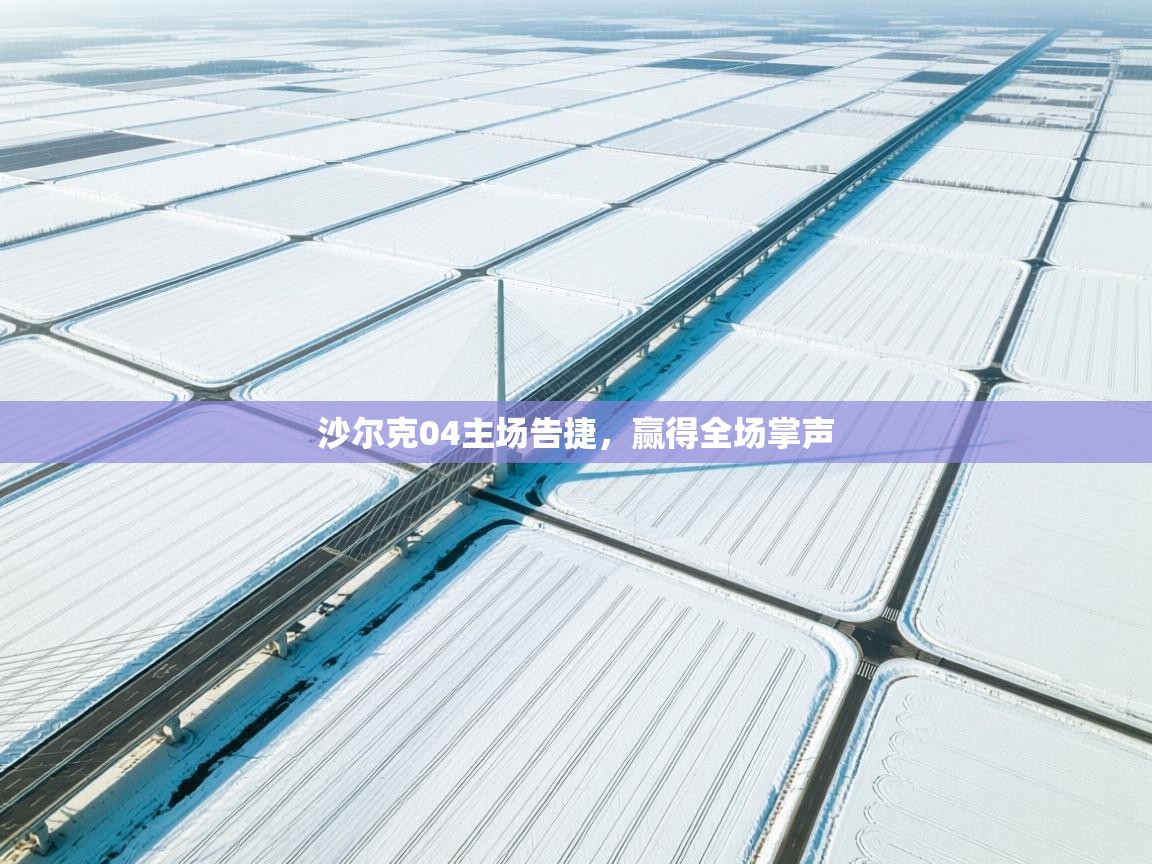 沙尔克04主场告捷，赢得全场掌声  第1张