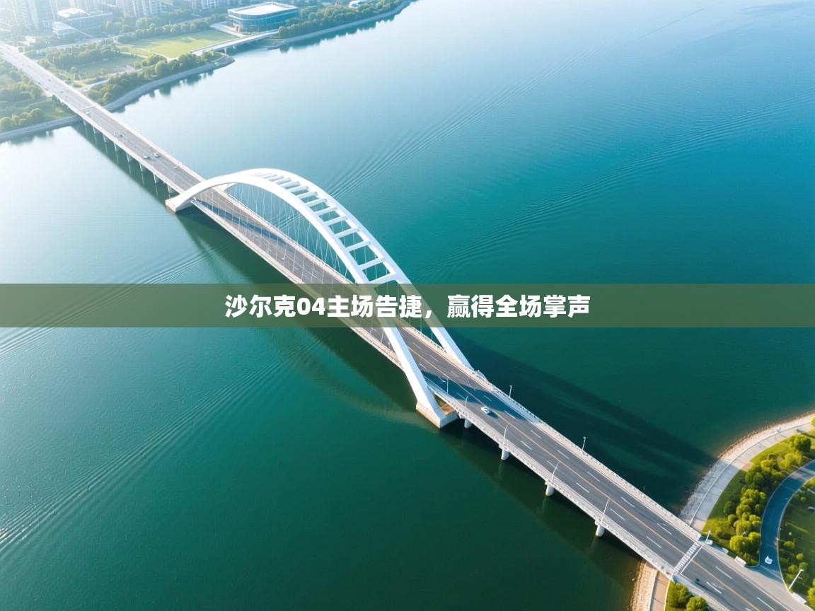 沙尔克04主场告捷，赢得全场掌声  第2张