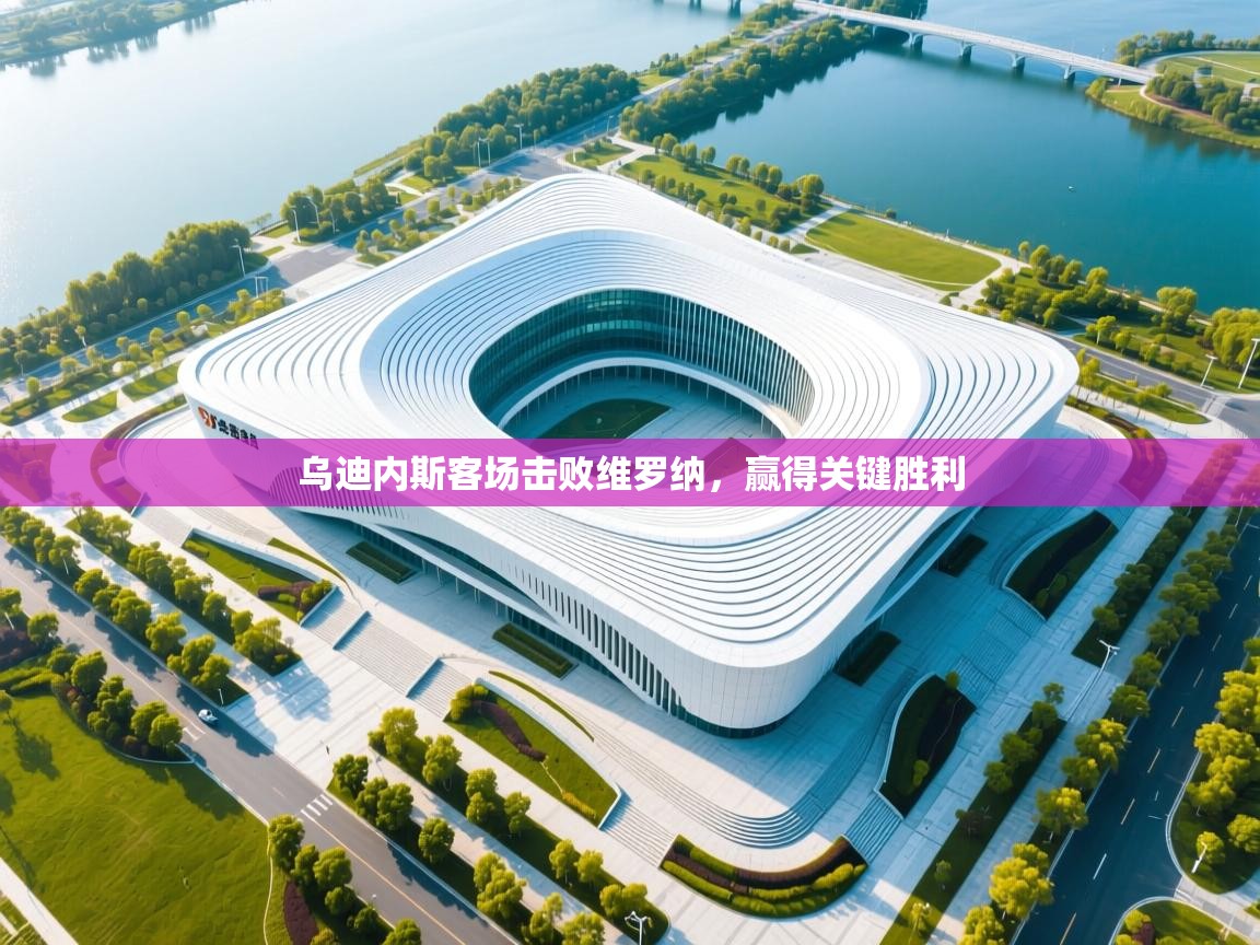 乌迪内斯客场击败维罗纳,赢得关键胜利 第1张