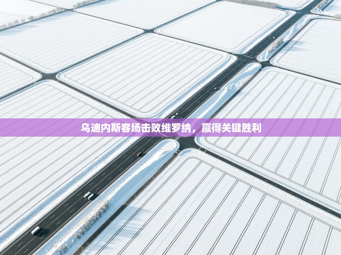 乌迪内斯客场击败维罗纳,赢得关键胜利 第2张